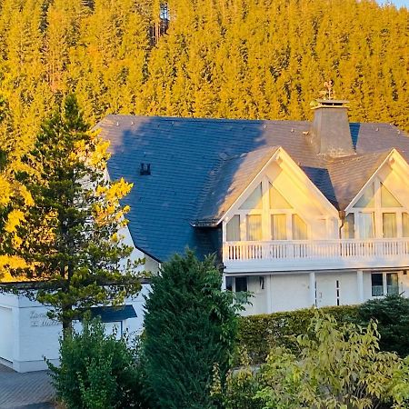 Landhaus Muehlenberg Willingen  Ngoại thất bức ảnh