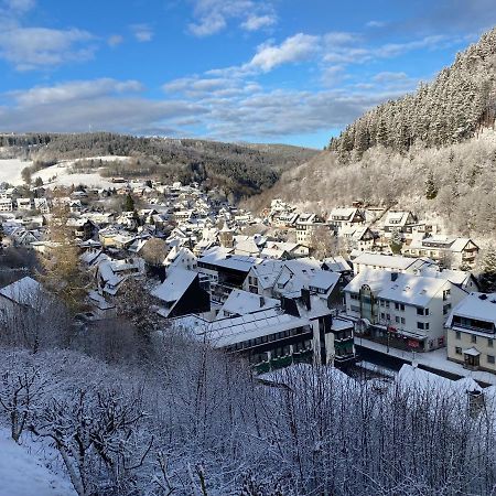 Landhaus Muehlenberg Willingen  Ngoại thất bức ảnh