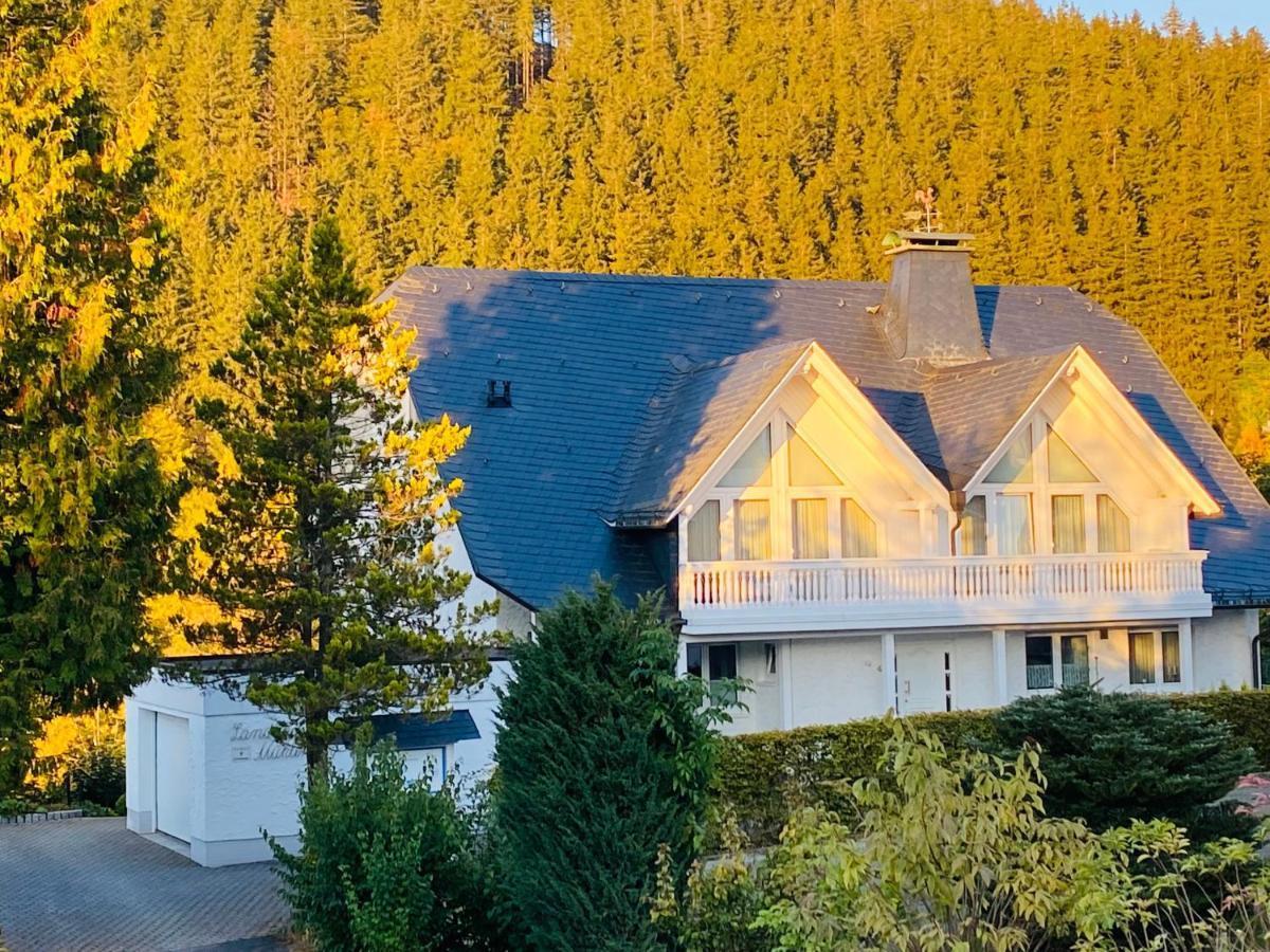 Landhaus Muehlenberg Willingen  Ngoại thất bức ảnh