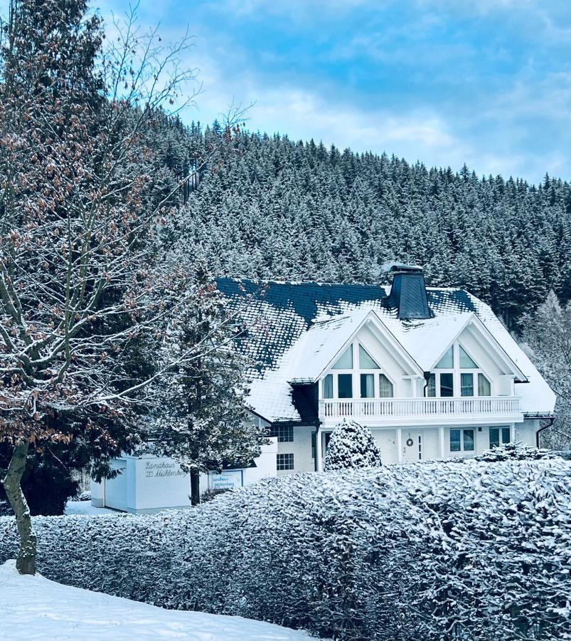 Landhaus Muehlenberg Willingen  Ngoại thất bức ảnh