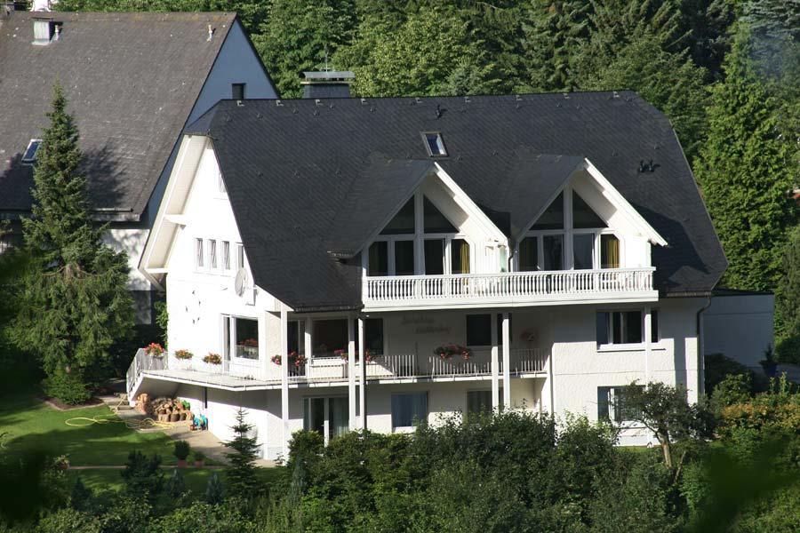 Landhaus Muehlenberg Willingen  Ngoại thất bức ảnh